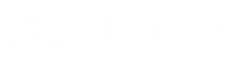 Soldier Sports logo